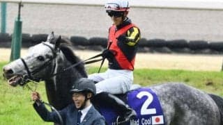 【安田記念】24年高松宮記念覇者のマッドクール 3年4カ月ぶりマイル戦でGI・2勝目なるか