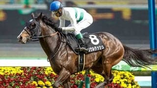 【安田記念】ドバイターフ覇者のソウルラッシュ 四度目の正直で戴冠なるか