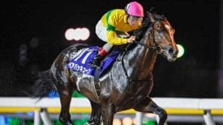 【船橋・若潮スプリント結果】骨折休養明けも関係なし！ベアバッキューンが人気に応え無傷5連勝