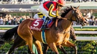 【安田記念】ブレイディヴェーグにかかる「父ロードカナロア以来」の記録とは？