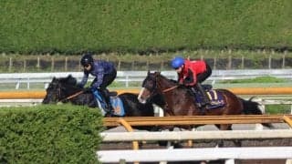 ローシャムパーク、宝塚記念1週前追い切り速報/栗東トレセンニュース