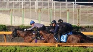 ヨーホーレイク、宝塚記念1週前追い切り速報/栗東トレセンニュース