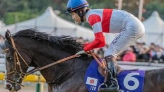 堀宣行厩舎の4億円馬 ダノンヒストリーがレーン騎手でデビュー