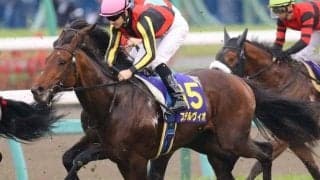 半兄はマイルCS覇者のステルヴィオ カルロットが武豊騎手で初陣だ