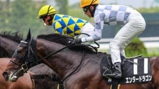 半兄はドウデュース 芝2戦目でエンダードラゴンが2勝目なるか