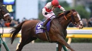 NICKSの超良血 ディバインウインドがデビュー勝ちなるか