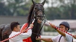 今週の武豊騎手は8鞍 ジュンブロッサムで安田記念4勝目なるか