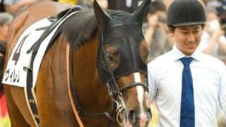 阪神芝内回りは内＆前ベター ヴィレムで好配狙い