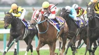 母は桜花賞馬のレーヌミノル テンユウが注目のデビュー戦だ