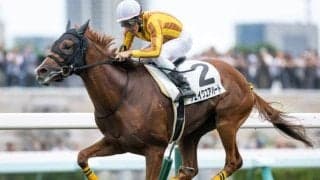 【今日の注目ポイント】JRA新馬戦が開幕 レーヌミノルの仔テンユウなどデビュー