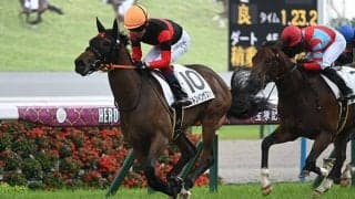 新種牡馬デビューJRA勝利一番乗りは？ 過去5年の馬を紹介