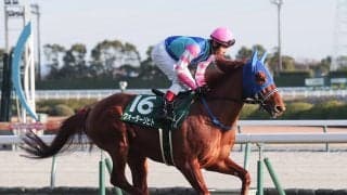 【競馬予想】安田記念はどの馬にもチャンスあり！ 元ジョッキーは決め手ある新勢力に白羽の矢