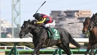 【競馬予想】安田記念で見るべき血統は「牝系」　コース適正が高い２頭の４歳馬に期待