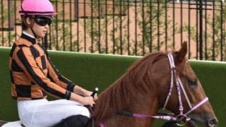 東京ダートは8枠が圧倒的に有利 八王子特別はモズナイスバディーに注目