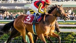 霜降り明星・粗品はブレイディヴェーグを信頼 3連単＆3連複で勝負だ