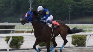 【瀬戸特別】9歳馬メイショウウズマサが力強く押し切る…サンライズグリットを退けて快勝