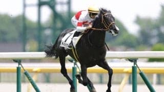 【新馬/東京5R】ディバインウインドが東の1番星…ゾロアストロは出遅れ2着