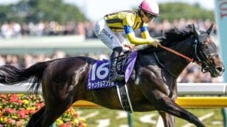 【安田記念予想】上半期のマイル王決定戦 スピードと瞬発力が問われる舞台に有力馬集結