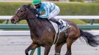 全姉は三冠牝馬のデアリングタクト デアリングエアが連勝狙う