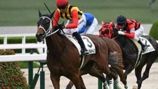 【阪神5R新馬戦結果】キタサンブラック産駒ファムマルキーズが人気に応えてV