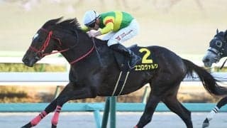 【競馬予想】安田記念は断然の主役は不在　好配当必至のレースで穴党記者激推しの２頭