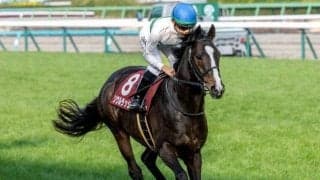 【安田記念・馬体重】ソウルラッシュは512kg、ジャンタルマンタルは498kg(-5)