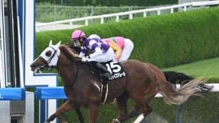 【水無月S結果】4番人気サンライズアムールがゴール前で差し切りV