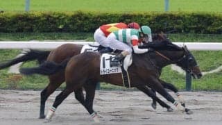 【東京2R】大井所属の矢野貴之がJRA初勝利…トライゴーニックで押し切る