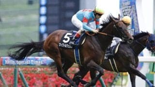 【香港JT】単勝1.1倍ウィクトルウェルスが断然の支持に応える