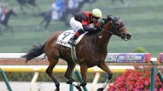 【新馬/東京6R】パープルガーネットが鮮やかな差し切りを決める