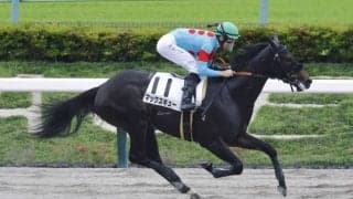 【東京4R】断然人気のマックスキューが5馬身差圧勝