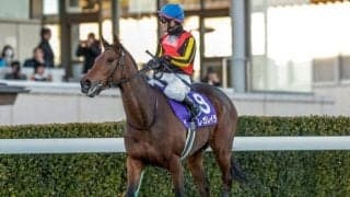 上半期の総決算・宝塚記念など3重賞/今週の競馬界の見どころ