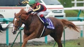 過去にはオルフェーヴルやゴールドシップなど 前年菊花賞馬の宝塚記念成績