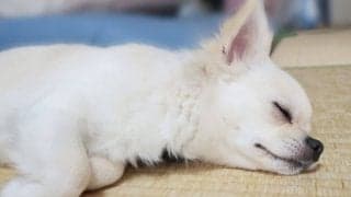 それって梅雨ブルー？雨の日にだるい・眠い・やる気がでない原因＆対処法