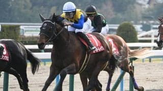 【宝塚記念見どころ】ヨーホーレイクのGI初制覇に期待