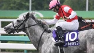 現在4連勝中！ “巳年の宝塚記念”に存在する共通項