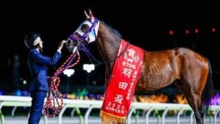 【大井・東京ダービー枠順】ダート二冠を狙うナチュラルライズは4枠8番 フルゲートの16頭集結