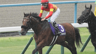 【宝塚記念過去10年傾向】直線一気は決まりにくい まずは先行馬を軸に