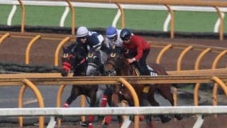 母はアルテミスSで後の桜花賞馬を撃破 日曜阪神で初陣迎えるボクサークラブ/関西馬メイクデビュー情報