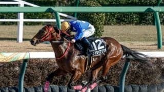 【先週のJRA抹消馬】短距離戦で計4勝のタイセイブリリオ、21年ラジオNIKKEI賞の2着馬ワールドリバイバル