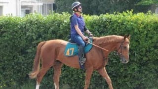 近親には活躍馬多数 サラキアの2番仔サレジオが日曜阪神で初陣/関東馬メイクデビュー情報