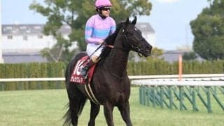 【函館SS想定騎手】ナムラクレアはC.ルメール騎手、ビッグシーザーは北村友一騎手