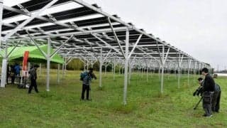 J3ガイナーレ鳥取が二刀流で地域貢献　下は芝栽培、上は太陽光発電