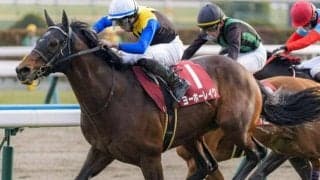 宝塚記念史上3頭目の7歳馬Vなるか 今年は3頭が参戦