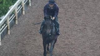 ボインビューティーの2023(レッドラージャ)など、先週のゲート試験/栗東トレセンニュース