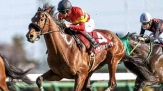 【宝塚記念予想オッズ】ベラジオオペラが予想1番人気