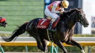 【東京JS予想オッズ】ジューンベロシティが予想1番人気