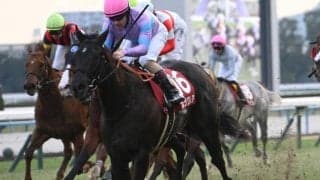 【函館SS予想オッズ】ナムラクレアが予想1番人気