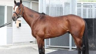 メジロパーマーを彷彿とさせる走法 宝塚記念で巻き返しに期待する“非のうちどころがない”一頭