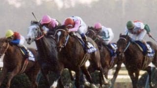 トウカイテイオー直系 ベラジオノユメが水曜笠松3Rで初陣